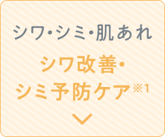 シワ・シミ・肌あれ シワ改善・シミ予防ケア※1