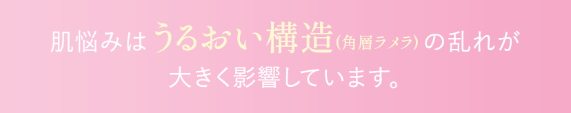 肌悩みはうるおい構造(角質ラメラ)の乱れが大きく影響しています。