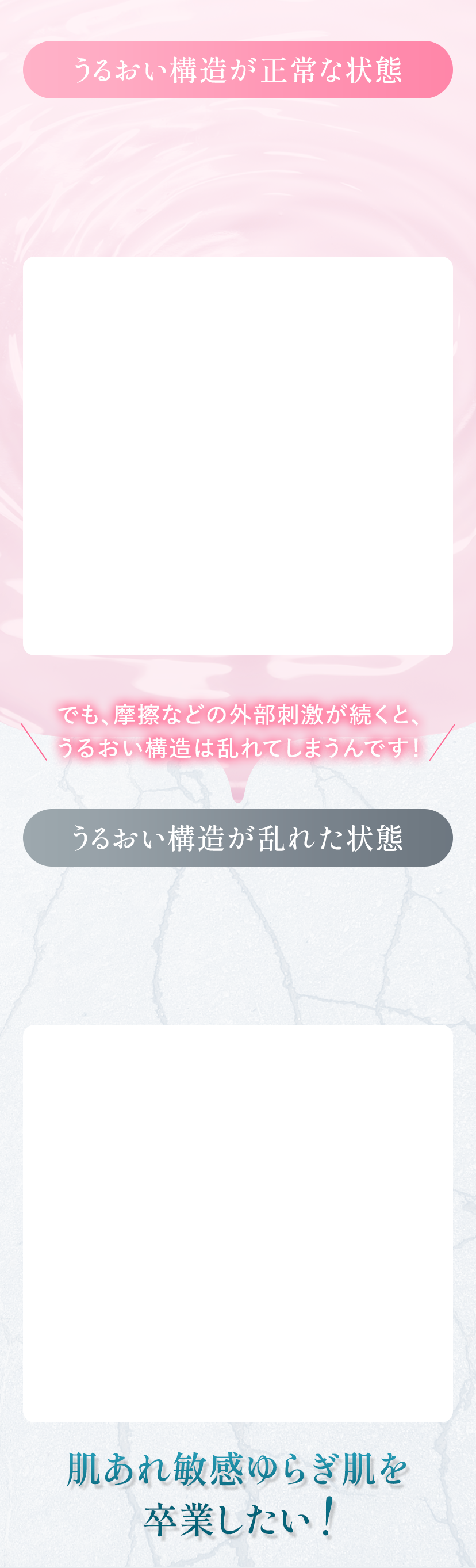 うるおい構造が正常な状態