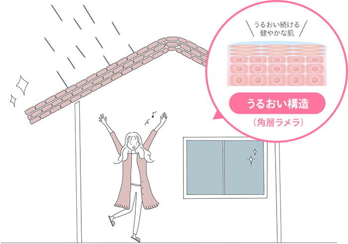 うるおい構造
