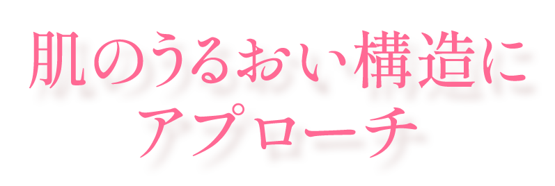 肌のうるおい構造にアプローチ