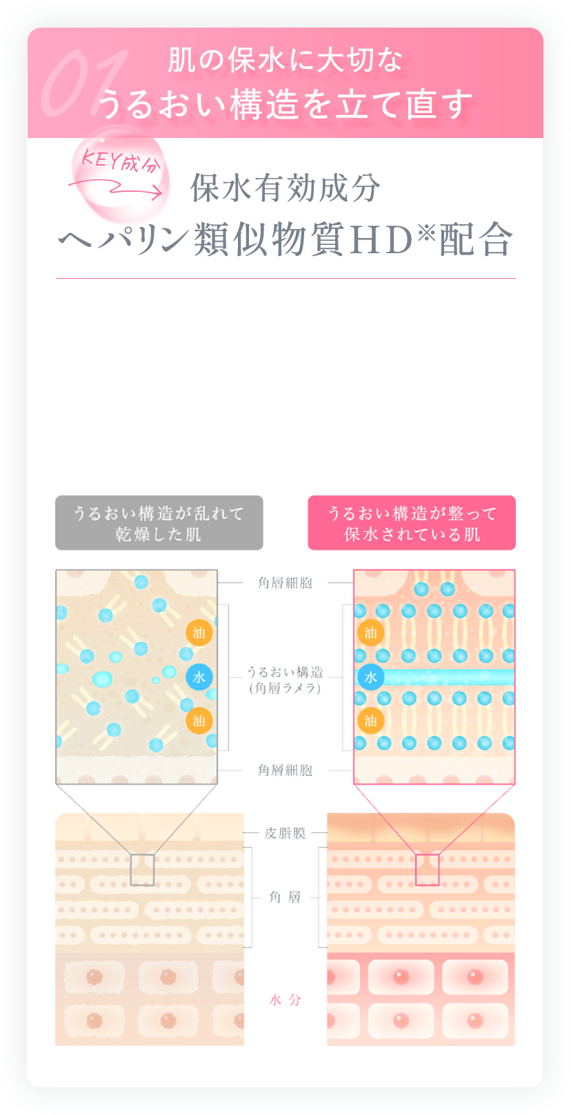 肌の保水に大切なうるおい構造を立て直す