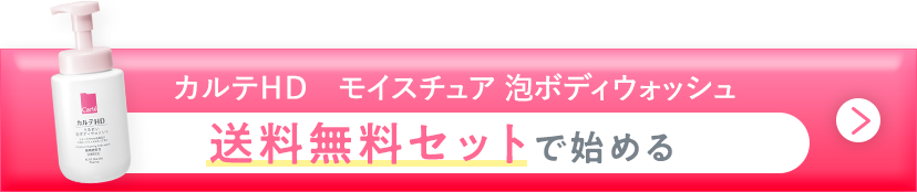 カルテＨＤ モイスチュア 泡ボディウォッシュ 送料無料セット始める