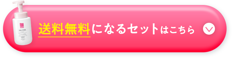送料無料になるセットはこちら