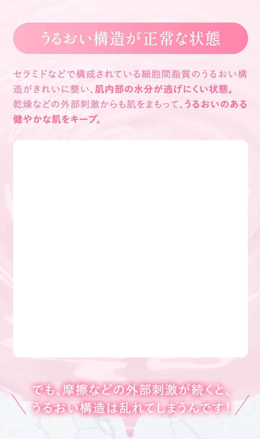 うるおい構造が正常な状態 セラミドなどで構成されている細胞間脂質のうるおい構造がきれいに整い、肌内部の水分が逃げにくい状態。乾燥などの外部刺激からも肌をまもって、うるおいのある健やかな肌をキープ。でも、摩擦などの外部刺激が続くと、うるおい構造は乱れてしまうんです！