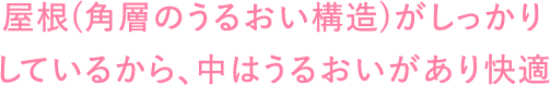 屋根(角層のうるおい構造)がしっかりしているから、中はうるおいがあり快適