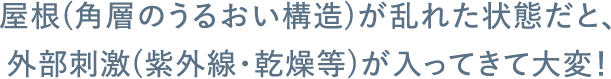 屋根(角層のうるおい構造)が乱れた状態だと、外部刺激(紫外線・乾燥等)が入ってきて大変！