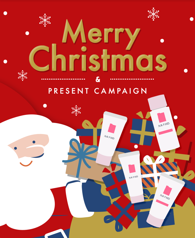 Merry Christmas & PRESENT CAMPAIGN