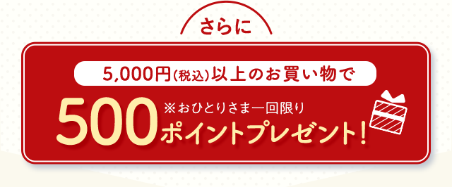 さらに 5,000円(税込)以上のお買い物で 500ポイントプレゼント！